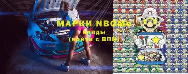 прущие крисы Ельня