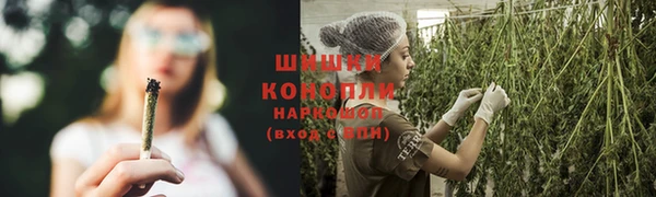 прущие крисы Ельня