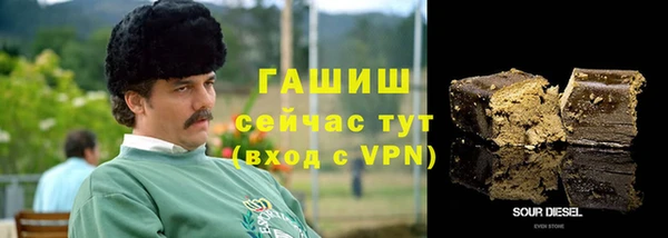 прущие крисы Ельня