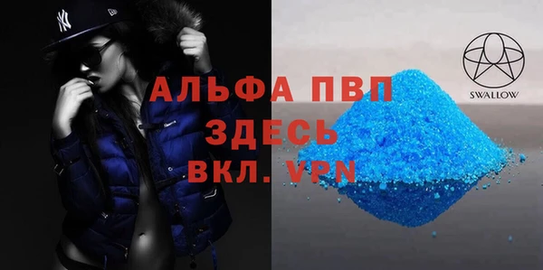 прущие крисы Ельня