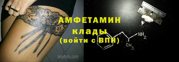 прущие крисы Ельня
