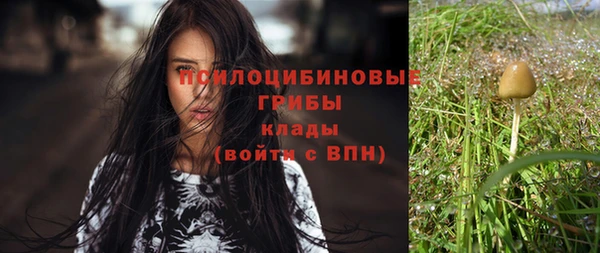 прущие крисы Ельня