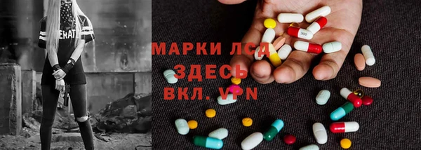 прущие крисы Ельня