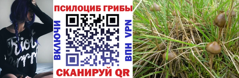 Купить  Красногорск  Псилоцибиновые грибы мухоморы 